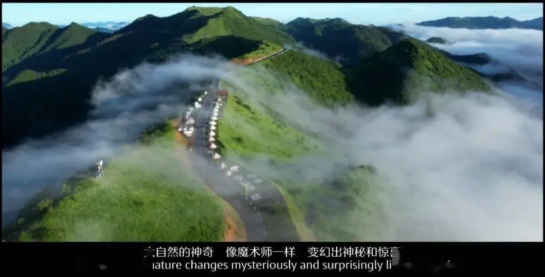 燃烧吧大脑装瓶子游戏
